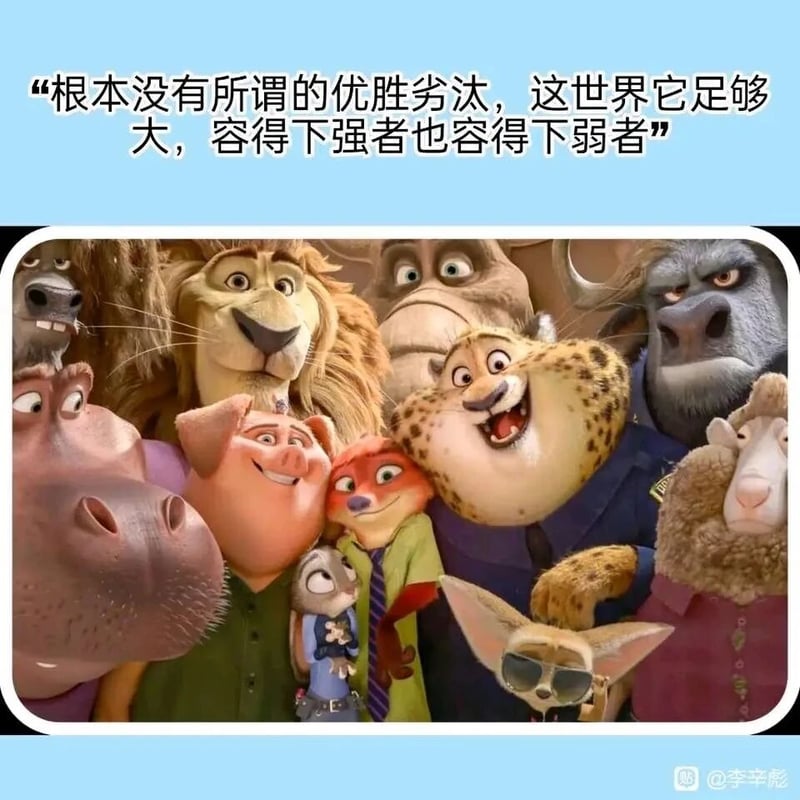 朱迪·霍普斯