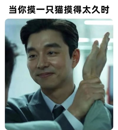 图片上方配有文字“当你摸一只猫摸得太久时”，下方是电视剧《孤单又灿烂的神-鬼怪》中孔刘的剧照。画面中孔刘穿着西装，面带温和的微笑，用手轻轻握住对方的手腕，姿态像是在礼貌地阻止继续动作。通过人类场景幽默比喻猫咪被抚摸过久后“委婉拒绝”的可爱反应，充满生活趣味。