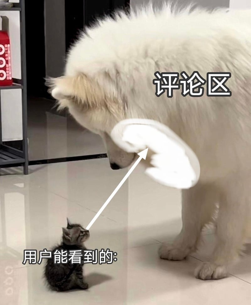 虎斑小奶猫