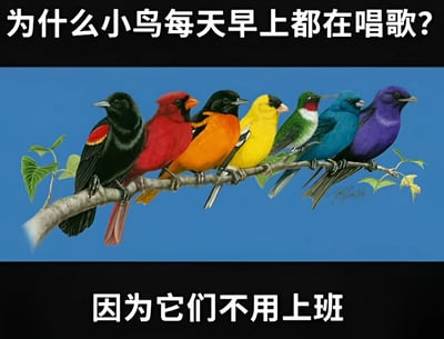 这是一张幽默梗图，上方黑色背景区域用白色大字写着问题“为什么小鸟每天早上都在唱歌？”，中间是主体画面：七只颜色各异的小鸟（黑色带红羽、红色、橙色、黄色、绿色、蓝色、紫色）整齐地栖息在一根树枝上，背景为纯净的蓝色天空，画面清新明快。下方同样为黑色背景白色文字，给出搞笑答案“因为它们不用上班”。通过将小鸟的自然行为与人类职场生活进行对比，以拟人化的方式制造幽默效果，表达了对无需工作的轻松状态的向往，带有职场自嘲的意味。