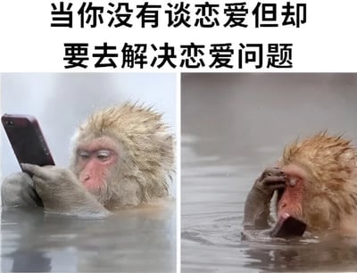 图片为左右对比的静态图文混排梗图，上方配有文字“当你没有谈恋爱但却要去解决恋爱问题”。左侧画面中，一只日本猕猴（雪猴）泡在温泉里，双手捧着手机专注查看；右侧画面中，同一只猴子则单手捂脸，表情苦恼，仿佛因处理恋爱问题而感到头疼。通过猴子前后情绪和动作的对比，幽默展现了单身人士被迫为他人解决恋爱难题时的无奈与崩溃，内容贴近生活，引发共鸣。
