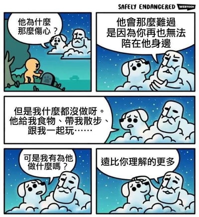 这是一组四格漫画，出自Webtoon《Safely Endangered》。夜晚星空下，一个小孩站在坟墓旁，疑惑地问云朵状的老人：‘他为什么那么伤心？’老人回答：‘他会那么难过是因为你再也无法陪在他身边。’小狗（云朵形态）困惑道：‘但是我什么都没做呀。他给我食物、带我散步、跟我一起玩……’并反问‘可是我有为他做什么吗？’老人温柔回应：‘远比你理解的更多’。漫画通过宠物与主人灵魂的对话，展现了宠物对主人无声的陪伴与深厚情感，温馨又感人。