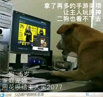 这是一张经过P图改编的搞笑静态梗图，画面中一只名为“二狗”的5岁家庭宠物狗被拟人化处理，趴在电脑桌前，前爪搭在键盘上，嘴巴大张，神态激动地盯着电脑屏幕，屏幕显示的是单机游戏《赛博朋克2077》的界面。图中添加了多段调侃性文字：顶部文字“拿了再多的手游奖项 让主人玩原神 二狗也看不下去”，下方标注“二狗 5岁 家庭宠物 用花呗给主人买2077”，图片底部还有支付宝花呗的标语“5亿用户的快乐生活”。该图以拟人化的狗狗视角，玩游戏圈的调侃梗，通过狗狗看不惯主人玩《原神》、主动用花呗购买另一款热门单机游戏的设定制造笑点，是游戏爱好者创作的趣味内容，结合了当下热门游戏与商业品牌元素，增强了搞笑效果。