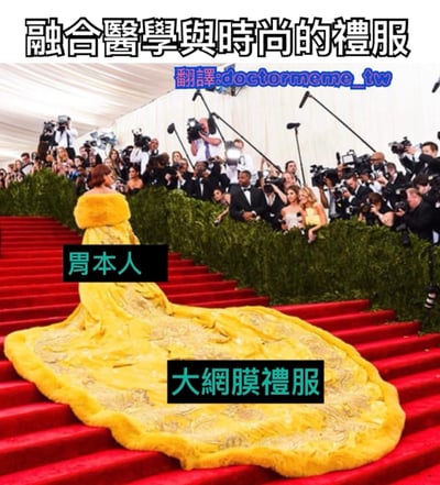 图片展示了一场红毯活动场景，一位穿着黄色拖地礼服的人物正走在红色台阶上，周围有众多举着相机的摄影师。图片通过文字恶搞的方式，将礼服幽默地与医学概念结合，上方标题为“融合醫學與時尚的禮服”，人物身上标注“胃本人”和“大網膜禮服”，以调侃礼服的蓬松造型类似人体器官大网膜。右上角有翻译标注“翻譯:doctormeme_tw”。