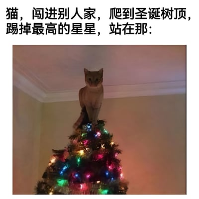 一张幽默搞笑的图片，展示了一只猫站在装饰着彩灯的圣诞树顶端。图片上方配有文字说明："猫，闯进别人家，爬到圣诞树顶，踢掉最高的星星，站在那:"。这张图片通过猫咪调皮捣蛋的行为制造笑点，猫咪站在原本应该放置星星的位置，仿佛自己成为了圣诞树的新装饰。