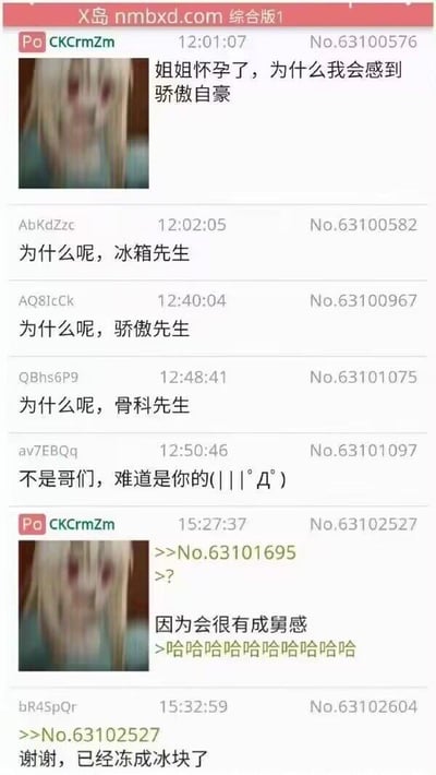 这是X岛综合版的一则匿名论坛互动帖子截图，楼主首先发布带诡异表情包的帖子提问：「姐姐怀孕了，为什么我会感到骄傲自豪」，其他匿名网友纷纷玩梗回复，先后用「冰箱先生」「骄傲先生」「骨科先生」调侃猜测，还有网友暗示是伦理相关的「骨科」梗；随后楼主再次发布同款表情包揭晓答案，用谐音梗将「成就感」改写为「成舅感」，意指姐姐怀孕后自己就成为舅舅，以此制造冷笑话效果，最后有网友回复「谢谢，已经冻成冰块了」，表达被这个冷梗「冻到」的感受。整个互动是论坛网友的自发整活，用谐音梗制造出荒诞又搞笑的冷幽默效果。