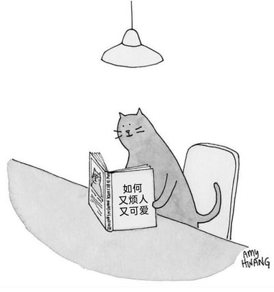 暂无描述