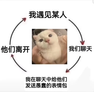 这是一张以社交循环为主题的趣味梗图，画面中心是一只被手托着的白色小猫，它眼神委屈懵懂，嘴角微撇，周围点缀着星星图案，显得无辜又可怜。图中用环形箭头串联起四个文字步骤，形成一个闭环循环：从“我遇见某人”开始，到“我们聊天”，再到“我在聊天中给他们发送愚蠢的表情包”，最后到“他们离开”，之后又回到“我遇见某人”，完整呈现了创作者自嘲的社交困境——因为在社交中发送不合时宜的“愚蠢表情包”，导致刚结识的人离开，陷入重复的社交失败循环，用委屈小猫的形象精准放大了这种无奈又好笑的情绪，很容易引发有类似社交经历的网友共鸣。