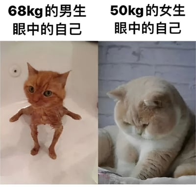 这是一张左右对比图，通过两只猫的形象幽默展示了不同性别对身材的自我认知差异。左边是标题为'68kg的男生眼中的自己'的瘦橘猫，右边是标题为'50kg的女生眼中的自己'的胖白猫，反映了社会中常见的身材焦虑现象。