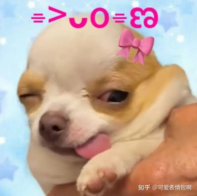 一张可爱的吉娃娃小狗表情包，小狗被人捧在手心，一只眼睛俏皮地眨着，同时伸出小舌头，显得十分萌趣。图片上方有粉色的表情符号文字"૮ ˶ᵔ ᵕ ᵔ˶ ა"，背景是带有星星图案的浅蓝色，给人一种甜美可爱的感觉。