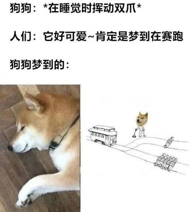 图片上半部分为文字描述，依次是“狗狗：*在睡觉时挥动双爪*”“人们：它好可爱~肯定是梦到在赛跑”“狗狗梦到的：”。下半部分左侧是一只真实的柴犬趴在木地板上熟睡的照片，眼睛紧闭，前爪微微抬起，似乎在梦中挥动；右侧是一幅简笔画，画中柴犬化身指挥家，手持指挥棒站在铁轨旁，指挥着一辆小火车，铁轨上还有几个人被捆绑着。图片通过人类对狗狗梦境的可爱想象与狗狗实际“硬核”梦境的反差制造幽默效果。