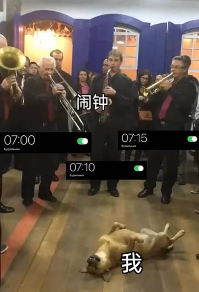 这是一张经过P图改编的搞笑梗图，画面主体是一群正在演奏的管乐手，上方标注“闹钟”，同时叠加了三个处于开启状态的手机闹钟界面，时间分别为07:00、07:10、07:15；画面下方躺着一只四脚朝天的狗，被标注为“我”。整张图用夸张的方式，将管乐队的喧闹演奏比作连环闹钟的轰炸，把躺平的狗比作被闹钟反复叫醒、痛苦不堪不想起床的自己，生动还原了很多人早上被多个闹钟催促起床时的崩溃与无奈，引发共鸣。