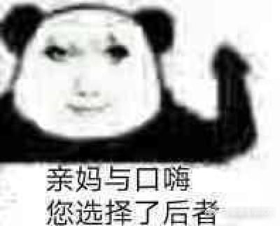这是一张网友自制的熊猫头P图表情包，将真实人脸与熊猫头的身体合成，熊猫头抬起一只手，脸上带着略带嘲讽又无奈的神情。图片下方配有文字“亲妈与口嗨您选择了后者”，用来调侃那些在交流中放着好好的方式不用，非要选择口嗨、说一些不经大脑的冲动话语的人，整体风格戏谑，充满吐槽感，没有双关、谐音梗等内容。