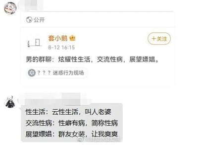 这是一张微博平台的社交媒体截图，用户“套小鹅”发布动态吐槽部分男性群聊的内容为“炫耀性生活，交流性病，展望嫖娼”，并配文表示这是“迷惑行为现场”；下方的评论对这些内容进行了玩梗式的歪解，通过谐音、断章取义的方式，将“性生活”曲解为“云性生活，叫人老婆”，“交流性病”曲解为“性癖有病，简称性病”，“展望嫖娼”曲解为“群友女装，让我爽爽”，以此制造出搞笑的反差效果，属于网络上的趣味玩梗内容。