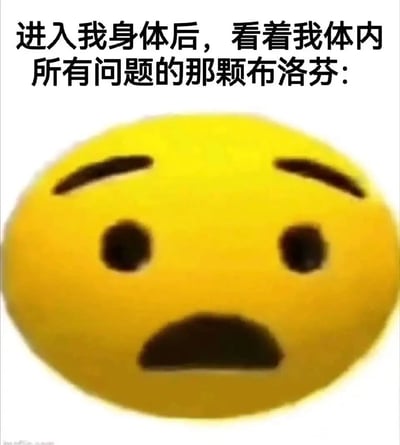 这是一张图文结合的搞笑表情包，顶部配有文字“进入我身体后，看着我体内所有问题的那颗布洛芬:”，下方是微软3D风格的小黄脸表情，它双眼圆睁、嘴巴大张，呈现出极度震惊的神态。该表情包通过拟人化的手法，将布洛芬拟人化，幽默地调侃自己身体存在诸多小毛病，连专门缓解疼痛的布洛芬进入身体后都会被眼前的状况吓到，用夸张的方式表达自嘲，引发有类似感受的人的共鸣。
