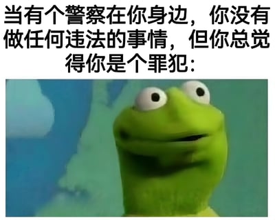 图片上方为黑色文字：“当有个警察在你身边，你没有做任何违法的事情，但你总觉得你是个罪犯：”，下方是布偶秀中的科米蛙特写，它瞪着大大的眼睛，表情紧张又僵硬，完美诠释了普通人在权威面前明明无罪却莫名心虚的搞笑心理状态。
