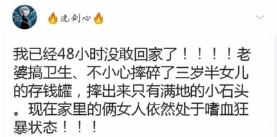 这是一张社交媒体动态的静态截图，属于图文混排形式。截图顶部显示用户昵称“沈剑心”，昵称前后配有火焰表情，头像是一幅带有月亮、人物和树木的卡通风格图片。动态的核心文字内容是用户的搞笑吐槽：自己已经48小时不敢回家，原因是妻子在搞卫生时不小心摔碎了三岁半女儿的存钱罐，可存钱罐里没有钱，只有满地的小石头，如今妻子和女儿都处于愤怒状态，用户用“嗜血狂暴”这种夸张的表述来形容她们的情绪，充满了诙谐感，生动展现了家庭生活里的趣事和自己的无奈处境。