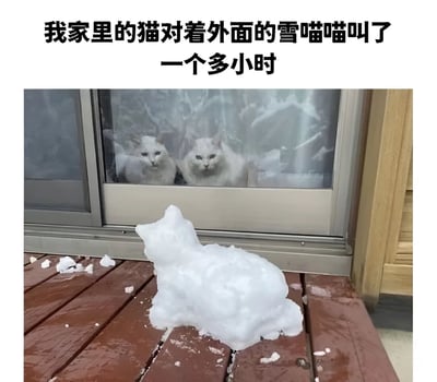图片上方有文字“我家里的猫对着外面的雪喵喵叫了一个多小时”，下方是一张实拍场景图。图中两只白色猫咪正趴在玻璃门内侧，专注地注视着门外木质地板上的一个雪雕猫。雪雕猫造型简易，呈蹲坐姿态，周围散落着一些碎雪。整体画面展现了猫咪对雪雕猫产生好奇并长时间喵喵叫的可爱场景。