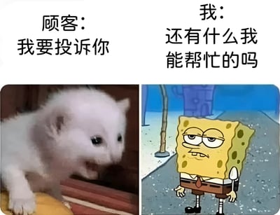 该梗图为左右对比结构，左侧是一只张嘴吼叫的白色小猫，上方文字标注“顾客：我要投诉你”，展现顾客愤怒的状态；右侧是动画角色海绵宝宝，表情疲惫无奈，上方文字标注“我：还有什么我能帮忙的吗”，形成鲜明对比。通过动物与卡通形象的夸张表情，幽默地描绘了客服工作中面对顾客投诉时，服务人员不得不保持耐心的无奈场景。