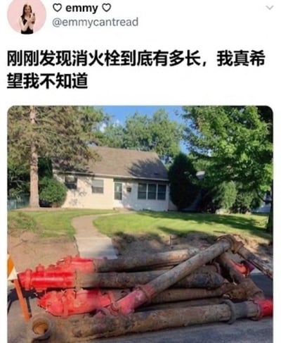 这是一张社交媒体分享的图文梗图，顶部展示了X平台用户的账号信息：用户名为emmy，账号为@emmycantread，配文为“刚刚发现消火栓到底有多长，我真希望我不知道”。下方配图是户外居民区场景，路边堆放着多个被整体挖出的消火栓，大众日常仅能看到的红色消火栓顶部下方，连接着数米长、沾满泥土的地下埋设段，背景可见独栋住宅、草坪与树木，内容通过展示大众从未见过的消火栓完整结构，制造出打破常识的强烈反差趣味感。