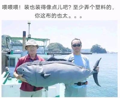 这是一张在水面船只上拍摄的搞笑图片，画面里两位男士站在标有数字14的绿色船身旁，共同举着一个造型模仿深海大鱼的布制玩偶，摆出仿佛钓到巨型大鱼的姿态。图片上方配有调侃文字：“喂喂喂！装也装得像点儿吧？至少弄个塑料的，你这布的也太。。。”，直白吐槽这个伪装道具过于敷衍、毫无真实感，通过刻意的弄虚作假和道具的廉价感制造出强烈反差幽默，整体氛围轻松滑稽，用来调侃敷衍了事、弄虚作假的行为。