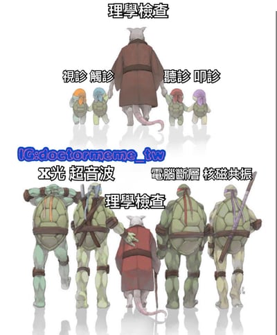 图片分为上下两部分，均以卡通风格呈现。上半部分：一只穿着棕色和服的老鼠（斯普林特）站在中间，左右各牵着两只戴着不同颜色头巾的小海龟，上方文字标注“理学检查”，小海龟上方分别标注“视诊 触诊”和“听诊 叩诊”。下半部分：同一只老鼠（改为红色和服，手持拐杖）站在中间，周围环绕四只成年海龟（忍者神龟），每只海龟背着不同武器，上方文字分别标注“X光 超音波”和“电脑断层 核磁共振”，中间叠加“理学检查”字样。图片底部有蓝色水印“IG:doctormeme_tw”。整体通过忍者神龟从幼年到成年的形象变化，幽默对应医学检查从基础（视触叩听）到进阶（影像检查）的过程。