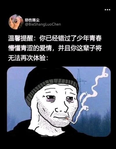 这是一张来自中文社交媒体平台的图文混排内容，顶部显示发布者账号“悲伤落尘 @BieShangLuoChen”，配文以“温馨提醒”的口吻，扎心地指出“你已经错过了少年青春懵懂青涩的爱情，并且你这辈子将无法再次体验”，下方搭配了一幅Wojak风格的卡通插画：画中男子戴着深色针织冷帽，面容憔悴、眼下带着乌青，眼神黯淡无光，用手撑着脸颊，嘴里叼着一支点燃的香烟，烟雾蜿蜒升起，背景是灰暗的户外场景，隐约可见电线杆，整体画面充满了失意、落寞的氛围。内容通过扎心的文字和颓废的形象结合，精准戳中成年人对逝去青春、错过的青涩感情的遗憾与怅惘情绪，是一种引发共鸣的网络情绪表达内容。