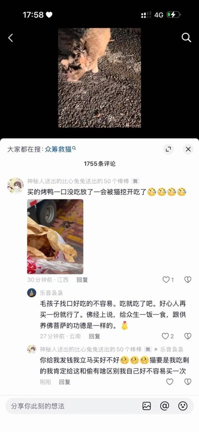 这是一张社交媒体评论区的竖版截图，截图顶部展示了一只正在地面进食的浅棕色流浪猫的实拍画面，下方是相关内容的评论区：1. IP属地为江西的用户发文称自己刚买的烤鸭一口都没吃，放置了一会儿就被猫挖开偷吃了，还附上了被翻动过的烤鸭包装袋实拍图，搭配了多个委屈的表情；2. IP属地为云南的网友在该条评论下回复，劝说楼主大度，称流浪动物找食物不容易，让楼主再买一份，还表示佛经中提到给众生提供饭食和供养佛菩萨的功德相同；3. 楼主随后回怼该网友，要求对方给自己发钱就立刻重新买，说明如果是自己吃剩的肯定愿意给猫吃，但猫未经允许偷吃的行为和偷窃没有区别，自己好不容易买一次烤鸭被偷感到很委屈。