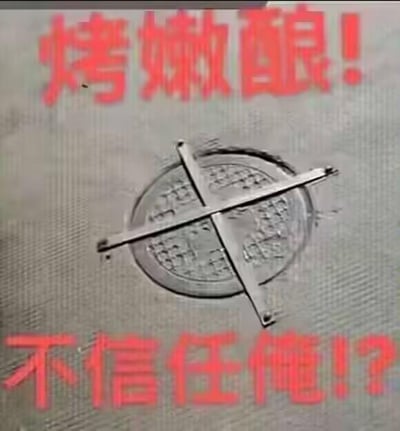 这张图是对原始拍摄的井盖照片进行P图改编的文字加注图，照片里的圆形井盖被一根十字形金属杠从上方压住固定。图中添加了两行红色调侃文字，上方为“烤嫩酿！”，下方是“不信任俺！？”。这里运用了谐音梗，“烤嫩酿”是“靠老娘”的谐音，将井盖拟人化，把被十字杠压住的状态调侃成“被不信任”，用方言化的语气表现出委屈又不满的情绪，制造出搞笑效果，可用来幽默吐槽被质疑、被限制的处境。