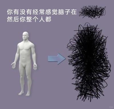 这是一张用来表达情绪的网络梗图，采用图文混排的形式呈现。画面左上角配有文字“你有没有经常感觉脑子在然后你整个人都”，上方的一小团杂乱黑线用来指代脑子混乱、思绪繁杂的状态；左侧是一个摊开双手、神态茫然的3D建模人体，表现出不知所措的状态；中间的箭头指向右侧的一大团杂乱黑线，将人体替换成这团黑线，以此具象化地表达当大脑被繁杂思绪填满、处于混乱状态时，整个人的精神状态也会变得混乱不堪、烦躁无序，精准地描绘出当代人在面对压力、思绪过载时的精神内耗状态，容易引发网友的情绪共鸣。