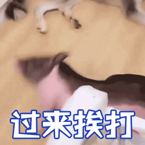 小猪气鼓鼓喊你过来挨打