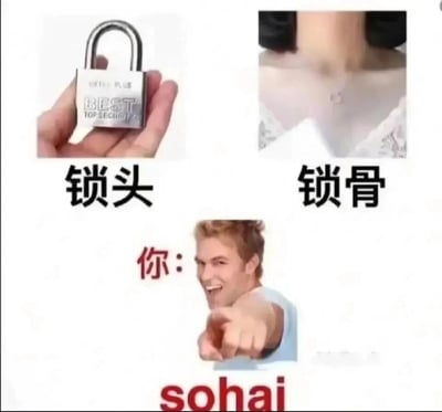 这是一张结合粤语方言谐音梗的网络表情包，采用多图拼接加文字标注的形式呈现。左上区域是一只手拿着金属锁头的图片，下方配有文字“锁头”；右上区域是展示人类锁骨部位的图片，下方配有文字“锁骨”；下方区域是一个面带戏谑坏笑的欧美男性，他伸出手指指向观看者，男性上方标注红色文字“你：”，下方标注红色文字“sohai”。该表情包利用“锁头”“锁骨”的发音与粤语粗口“sohai”（意为傻子、蠢货，是带有冒犯性的口语）发音相近的特点，制造出调侃的效果，仿佛将这句粗口甩向观看者，属于网络上常见的玩梗搞笑内容，多用于熟人之间的玩笑调侃或者网络上的互怼场景。
