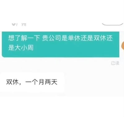 这是一张网络招聘平台上聊天截图的梗图。求职者询问“贵公司是单休还是双休还是大小周”，公司回复却答“双休，一个月两天”，形成巨大的反差。所谓“双休”本应指“每周两天休息”，而对方居然解释为“一个月只有两天休息”，从而产生荒诞和槽点。这种自相矛盾的回答既反映出某些企业用词忽悠，也表达了网友对于职场内卷、休息少等现象的无奈和吐槽。

本图带有语言上的讽刺和调侃意味，实际表现双关和暗示性较强。关键词“双休”与“每月仅两天”强烈反差，也是网络流行段子的典型用法。