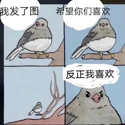 四格连环漫画，主角为一只栖息在树枝上的小灰鸟。第一格：小鸟平静地说“我发了图”；第二格：小鸟带着期待的表情说“希望你们喜欢”；第三格：远景展示小鸟独自站在光秃秃的树枝上，背景为浅蓝色天空；第四格：小鸟特写，表情愤怒又带点得意，大声说“反正我喜欢”。通过简单的场景和对话，展现了分享内容后从期待他人认可到自我满足的心理变化，风格幽默轻松。