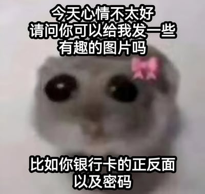 图片主体是一只模糊的小动物（疑似仓鼠或类似宠物），头部佩戴粉色蝴蝶结，双眼圆大直视前方，表情显得无辜可爱。图片上方配有文字“今天心情不太好 请问你可以给我发一些有趣的图片吗”，下方接续“比如你银行卡的正反面以及密码”。通过可爱动物形象与反差感十足的“要银行卡信息”请求形成幽默效果，属于利用萌系元素制造笑点的网络梗图。
