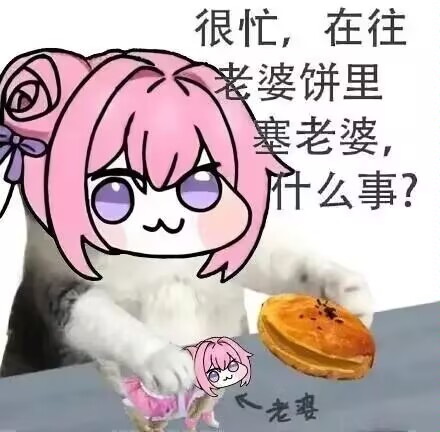 Doro很忙：往老婆饼里塞老婆的日常