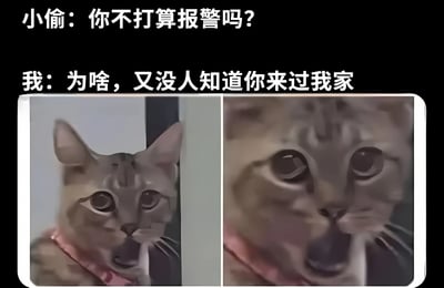 这是一张左右对比的图文混排梗图。上方文字为虚构对话：“小偷：你不打算报警吗？”和“我：为啥，又没人知道你来过我家”。下方左侧图片是一只戴着粉色项圈的橘猫从门后探出头，表情疑惑；右侧是该猫的面部特写，眼睛瞪得很大，表情震惊。通过将猫的表情与对话结合，形成幽默效果，暗示猫就是“小偷”，而“我”的淡定回应与猫的惊讶表情形成反差萌。