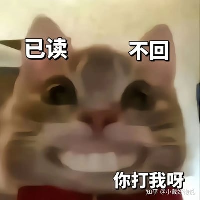 这是一张以猫咪为主角的网络表情包。猫咪被P图成露出巨大诡异笑容的样子，看上去非常调侃和挑衅。画面上配文“已读 不回 你打我呀”，表达了一种对他人质问“已读不回”时的无所谓和戏谑态度，非常适合用来应对微信、QQ等社交场合的调侃和无奈沟通气氛。图片整体风格诙谐、幽默，没有明显的谐音梗，但猫咪夸张的表情和文字形成对比，带来一种幽默反差感。