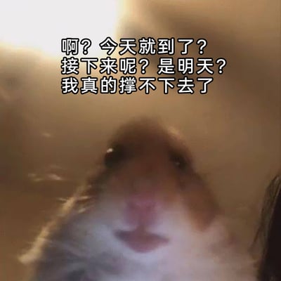 这是一张静态的情绪宣泄类表情包，主体是一只仰头的宠物仓鼠，它的眼神无助疲惫，神态尽显崩溃感。图片上方配有拟人化的吐槽文字：“啊？今天就到了？接下来呢？是明天？我真的撑不下去了”，借仓鼠的口吻精准表达了当代人（尤其是打工人）面对日复一日、循环往复的生活与工作时，产生的强烈倦怠感与无力崩溃情绪，适合在社交场景中用来抒发自身的疲惫与吐槽日常的重复乏味。