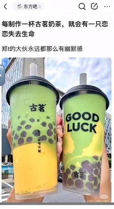 这是一张来自百度贴吧东方吧的社交媒体截图，属于图文混排的左右对比P图。上方配文为“每制作一杯古茗奶茶，就会有一只恋恋失去生命”和“郑t的大伙永远都那么有幽默感”，下方是两杯古茗奶茶杯的对比图：左侧是正常的古茗奶茶，杯身印有“古茗”和“× 每天一杯喝不腻”的字样，饮品是绿色加黄色的分层样式，带有黑色珍珠；右侧是经过P图修改的杯子，杯身文字被改为“GOOD LUCK”，饮品的绿色部分被修改，只保留了底部的珍珠和少量黄色部分。
这张图玩了谐音梗：“恋恋”指东方Project中的角色古明地恋，其代表色为绿色，图中把奶茶的绿色部分“去掉”，对应配文里的“恋恋失去生命”，结合古茗奶茶的品牌进行趣味玩梗。