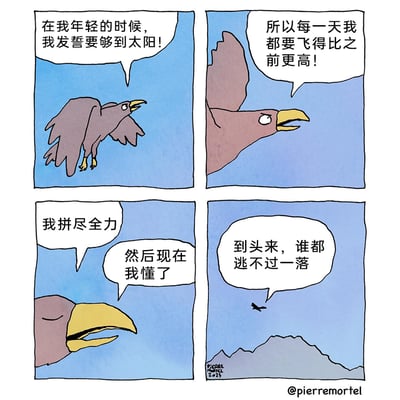 这是一则由Pierre Mortel创作的四格手绘卡通漫画，主角是一只形似老鹰的飞鸟。漫画以飞鸟的自述展开：第一格中，飞鸟振翅翱翔，语气激昂地诉说年轻时的宏愿——“在我年轻的时候，我发誓要够到太阳！”；第二格中，飞鸟表明自己为了实现目标，坚持每天都飞得比前一日更高；第三格中，飞鸟带着怅然的口吻感慨自己曾“拼尽全力”，并顿悟“然后现在我懂了”；第四格的画面里，飞鸟化作一个小黑点，正朝着下方的山巅坠落，它最终发出悲凉的感叹：“到头来，谁都逃不过一落”。漫画通过拟人化的飞鸟一生，传递出关于人生起落的深刻感悟，即便曾奋力追逐高远目标，最终也难逃坠落的终局，带有黑色幽默与人生无常的悲凉感。