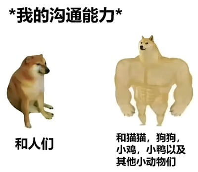 图片通过左右对比展示了"我的沟通能力"这一主题。左侧是一只普通的柴犬，下方配有文字"和人们"；右侧是一只肌肉发达的柴犬，下方配有文字"和猫猫，狗狗，小鸡，小鸭以及其他小动物们"。通过夸张的肌肉表现幽默地表达了与动物沟通能力强于与人沟通的自嘲。