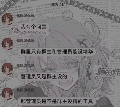 这是一张聊天记录截图，背景为线稿风格的动漫人物。用户“佩佩佩佩佩”在群中连续提问：“我有个问题”“群里只有群主和管理员能设精华”“管理员又是群主设的”“那管理员是不是群主设精的工具”，人物旁边有“脑浆炸”字样，表达出困惑或调侃的情绪。