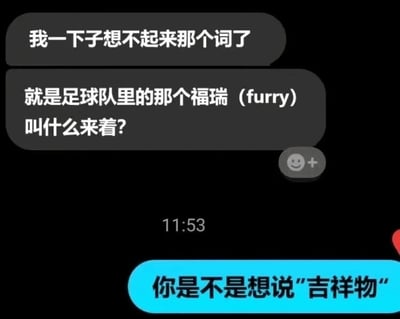 这是一段即时通讯软件的聊天记录截图，对话分为两段：提问者表示自己记不起某个词汇，将目标词汇描述为“足球队里的那个福瑞（furry）”，向对方询问该词汇的正确名称；回答者则直接点破，指出提问者想说的其实是“吉祥物”。这段对话的趣味点在于提问者混淆了概念，将属于兽人文化（福瑞furry）范畴的足球队动物吉祥物，用“福瑞”来指代，却遗忘了“吉祥物”这个准确的称呼，形成了有趣的认知错位。