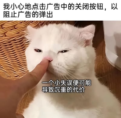 图片上方配有文字“我小心地点击广告中的关闭按钮，以阻止广告的弹出”，下方是一只表情不悦的白色猫咪，一只手指正指着它的鼻子，猫咪眼神略带不耐烦。图片底部文字为“一个小失误便可能导致沉重的代价”。整体通过猫咪被手指指着的无奈场景，幽默地比喻了用户在试图关闭弹窗广告时，因误触而导致广告进一步弹出的尴尬与 frustration，引发网友对不良广告体验的共鸣。