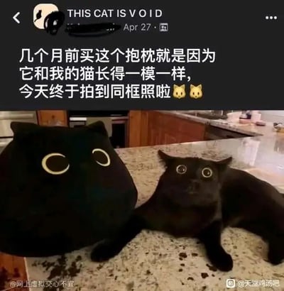 这是一张社交媒体截图，上方是海外用户“THIS CAT IS VOID”发布的动态内容，文字为“几个月前买这个抱枕就是因为它和我的猫长得一模一样，今天终于拍到同框照啦”并搭配两个猫咪表情；下方的实拍图里，一个黑色猫咪造型、带有大圈眼睛的抱枕，与一只真实的黑猫并排趴在厨房的大理石台面上，这只黑猫睁着圆溜溜的大眼睛，神态和抱枕的造型高度契合，画面充满趣味，直观展现出二者惊人的相似程度，让人觉得巧合又可爱。