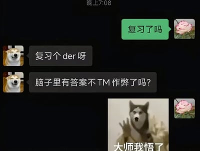 这是一张深色背景的聊天记录截图，顶部显示时间为晚上7:08。头像为粉色玫瑰的用户先向对方提问“复习了吗”，使用搞怪柴犬作为头像的用户先回复“复习个der呀”，紧接着给出了离谱的歪理回复“脑子里有答案不TM作弊了吗？”，随后提问的用户发送了一张配文“大师我悟了”的哈士奇梗图作为回应。整张图用荒诞搞笑的逻辑调侃了学生群体备考时不想复习的抵触心态，反差感强烈，笑点突出。