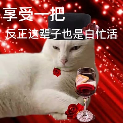 这是一张以白猫为主角的梗图，猫带着黑礼帽，旁边有玫瑰花和红酒杯，背景华丽红色光斑。配文“享受一把，反正这辈子也是白忙活”传达出摆烂态度和及时行乐的心情。猫的神情高冷，和背景的繁华、道具的精致形成趣味反差，强化了自嘲和佛系的氛围。

图片文本有谐音双关：“白忙活”既表达无奈人生，也暗含白猫本体，有梗有趣。