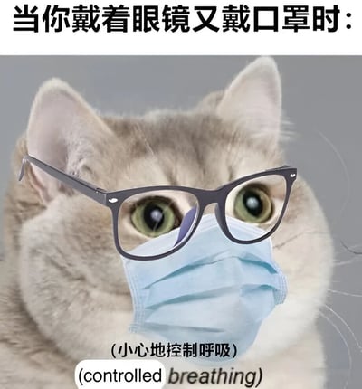 一张幽默的图片，展示了一只戴着黑色眼镜和蓝色口罩的猫。猫的眼睛睁得很大，表情看起来非常专注和认真。图片上方有文字"当你戴着眼镜又戴口罩时："，下方有文字"(小心地控制呼吸)"并配有英文翻译"(controlled breathing)"。这张图片通过拟人化的手法，幽默地表现了戴眼镜的人同时戴口罩时需要小心控制呼吸以防止眼镜起雾的常见生活困扰。