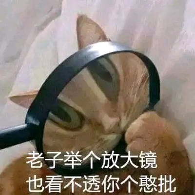 这是一张静态的文字加注表情包图片，主体是一只橘色猫咪，它的爪子举着一个黑色放大镜置于脸部前方，放大镜将猫咪的一只眼睛放大，让猫咪看起来带着疑惑又审视的神态。图片下方配有直白接地气的白色网络吐槽文字“老子举个放大镜也看不透你个憨批”，生动地传递出对他人行为或想法无法理解、摸不着头脑的吐槽情绪，适合在日常社交聊天中用来表达疑惑、吐槽的心情。